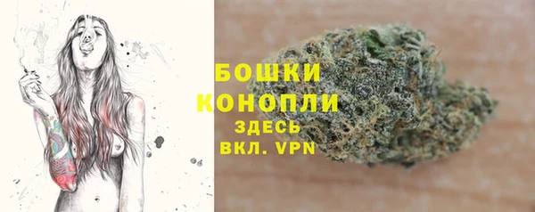 молекула духа Лихославль