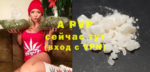молекула духа Лихославль