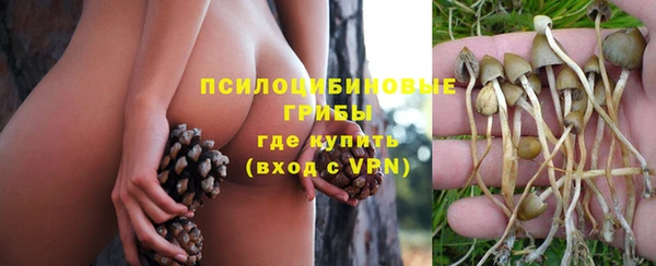 скорость Липки